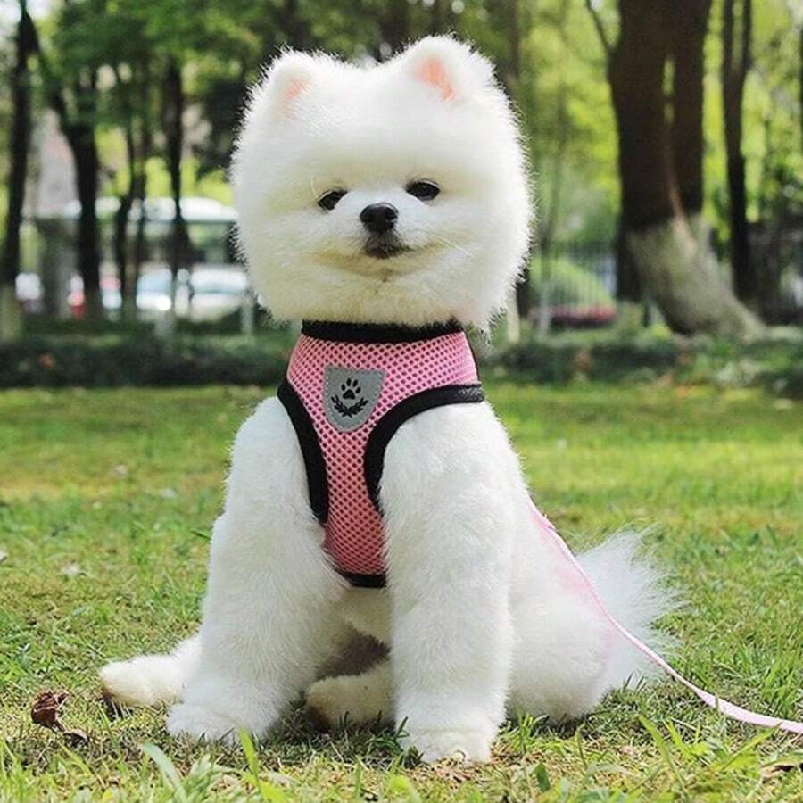 Essential For Pet Outings! Universal Chest Harness For Dogs And Cats, The Mesh Design Is Super Breathable. - Blue - View 1