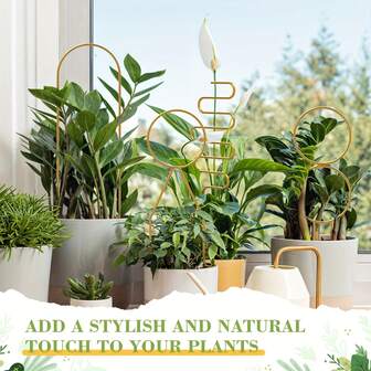 4件套植物攀爬支撑架，花盆支架，种植架固定杆，DIY盆栽攀爬植物、花卉、蔬菜、藤蔓的支架