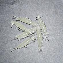 100pcs/Pack Luminous Soft Lure Bait, Bionic Shrimp Imitation Bait, Fishing Lure, Fishing Tackle Wholesale