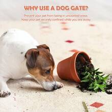 Dog Gate Indoor Freestanding 4 Panel 24" Pet Gate Foldable Dog Fence For Stairs - 預設 - 查看 7