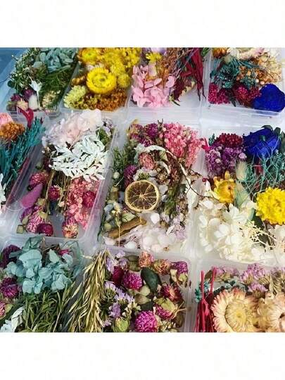 Colorful Natural Dried Flowers, Suitable For Epoxy Resin Crafts, DIY Bouquets, Wreaths, Candle Making, Home & Wedding Decor