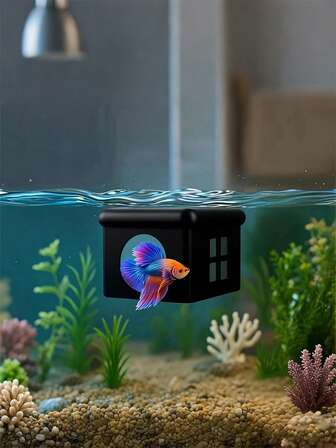 【Twitch直播专属鱼缸】带观察窗，为Twitch直播鱼提供水面休息场所，方便观察鱼儿动态，营造趣味十足的直播环境