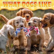 12件装豪华幼犬磨牙玩具，带绳子，会发出吱吱声的幼犬磨牙玩具，附赠狗狗便便袋