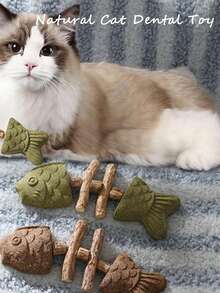 Natural Cat Teeth Cleaning Toy, Caring For Cat Dental Health, Natural Fish Bone Cat Teeth Cleaning Toy, Interactive Kitten Teething Toy, Pet Cat Chew Stick Toy, Cleaning Cat Teeth, Indoor Cat Interactive Toy - Multicolor - View 2