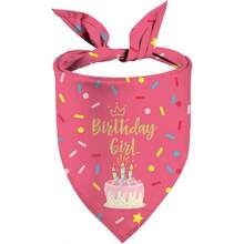 Birthday Girl Dog Bandana Puppy Scarf Adjustable Triangle Double-Layer Reversible Pet Bandanas For Dogs Girl Birthday Party XL - 生日女孩 - 查看 1