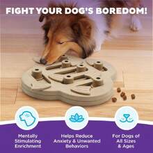 By Nina Ottosson Dog Hide N' Slide Treat Puzzle Enricent Toy, Level 2 Intermediate, Tan, Composite,30796191 - 藏蓝色 - 查看 2