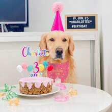 Birthday Girl Dog Bandana Puppy Scarf Adjustable Triangle Double-Layer Reversible Pet Bandanas For Dogs Girl Birthday Party XL - 生日女孩 - 查看 2