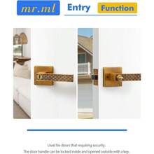 Manija de puerta retro de latón antiguo con cerradura cerradura de puerta exterior y llave palanca de manija de puerta clásico para recámara interior manija de puerta de aleación de zinc - Latón antiguo vintage - Ver 5