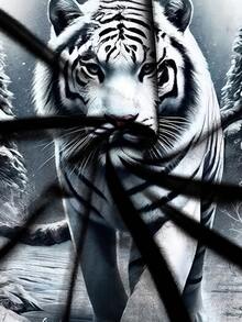 Animal Tiger Full-Body Digital Print Men's Suit Sweatshirt Forest Tiger Print Casual Hoodie + Drawstring Casual Pants 2pcs Set Men's And Women's Couple Hoodie Suit - style - 查看 6