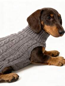 1 chiếc áo len cho thú cưng mới năm 2026, màu xám, kiểu Anh, dành cho chó Dachshund, thích hợp cho chó và mèo nhỏ, trang phục ấm áp mùa thu/đông, thiết kế dễ thương và đơn giản, phù hợp với chó Poodle, Teddy, Corgi, chống rụng lông, giữ ấm, vừa vặn với chó và mèo nhỏ. - Xám - Xem 6