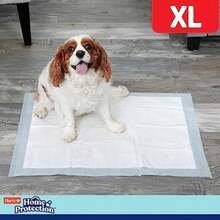 Hartz Home Protection - Almohadillas para Perros con Aroma Fresco de montaña, 60 Unidades(default) - Multicolor - Ver 6