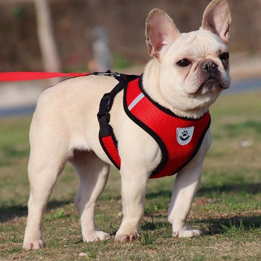 Essential For Pet Outings! Universal Chest Harness For Dogs And Cats, The Mesh Design Is Super Breathable. - 紅色 - 查看 1