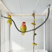 1个柔性鹦鹉金属栖木，防抓防咬鸟笼支架，易于清洁且经久耐用的鸟笼配件 - 銀色 - 查看 4