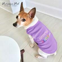 Parisian Pet poiled Rotten T-hirt, mall(XS Pampered Poochie) - Multicolor - Ver 5