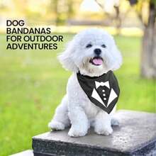 Pet Sweaters - Multicolor - View 5