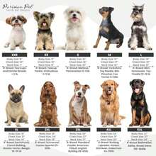 Pet Tees - Multicolor - View 7