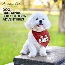 Parisian Pet Fashionable Dog Bandana – '' Printed Tie-On Neck Kerchief for Female Dogs and Cats – ize mall(S Im the Boss) - Multicolor - Ver 5