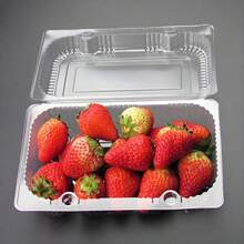 50pcs Thickened Disposable Pastry Storage Boxes Odorless Clear Refrigerator Containers Ideal For Home Bakery Restaurant Dessert Food Storage And Organization - 透明 - 查看 3