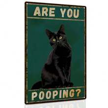 BlackCatOnTheWall
