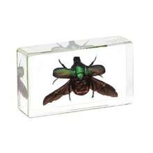 50+ Pcs Large (7.3cm) Transparent Resin Insect Stag Beetle, Spider, Scorpion, Rhinoceros Beetle, Hornet, Wasp Model, Spider Octagon Monster Creative Bookend Decor, Primitive Forest Giant Arthropod Centipede Model, Magical Nature Real Rare Various Insects, High Transparency Permanent Preserved Transparent Resin Natural Insect Creative Small Decor, Gift - Multicolor - View 49