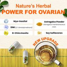 MEGNETA Myo-Inositol Supplement - Ovarian Care For Hormone Balance | Menstrual Cycle Support | 15-Day Supply | Myo-Inositol, D-Chiro Inosito & Ashwagandha | Soy Isoflavones Complex | Promotes Healthy Ovulation, 120 Caps - Three bottles - The best option - 查看 7