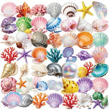 56 Stücke Muschel Dekor transparente Aufkleber, Ozean Aufkleber, farbige Ozean Dekor Natur Aufkleber, ästhetische Aufkleber, dekorative Aufkleber, Cartoon Aufkleber, wasserfeste Vinyl Aufkleber für Wasserflasche, Laptop, Handy, Skateboard, Fahrrad, Gepäck, Gitarre - F - Übersicht 4