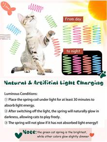 2/4/8 件套夜光弹簧室内猫玩具套装。螺旋设计，配有果冻色互动小猫玩具。非常适合追逐、玩耍和运动。这款猫玩具可为猫咪提供夜间互动娱乐，适合幼猫和成猫。小型室内宠物可以追逐、扑击和拍打。圣诞礼物。