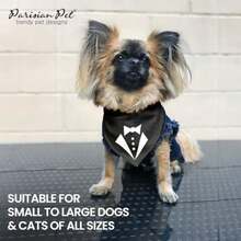 Pet Sweaters - Multicolor - View 6