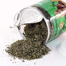 TZL Dried Catnip, Hierba Gatera Natural, Utilizada como Juguetes de Relleno de Bocadillos (40 g)(default) - Multicolor - Ver 3