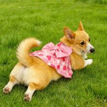 Ropa para mascotas, vestido para gato, ropa para perro, vestido, ropa para perro, vestido para gato, vestido de princesa, rojo, rosa, corazón - Rosa - Ver 11