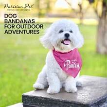 Parisian Pet Fashionable Dog Bandana – '' Printed Tie-On Neck Kerchief for Female Dogs and Cats – ize mall(L Princess) - Multicolor - Ver 5