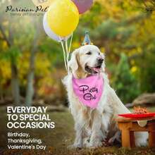 Pet Sweaters - Multicolor - View 5