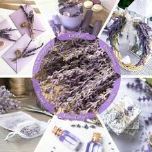 Dried Lavender Flowers Bundles, Natural Dry Lavender Flowers 220 - 240 Stems 16'' Vase Home Wedding Party Decoration Arrangements Fragrance 3 Bundles - 3.52盎司 - 查看 3