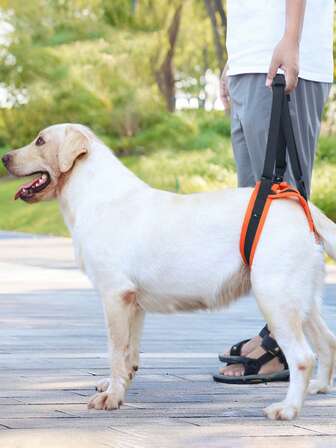 Adjustable Rear Leg Support Harness Leash For Disabled, Elderly Dogs
