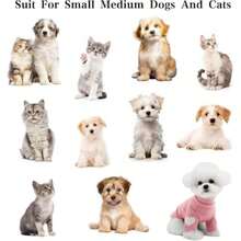 Pet Sweaters - Multicolor - View 5