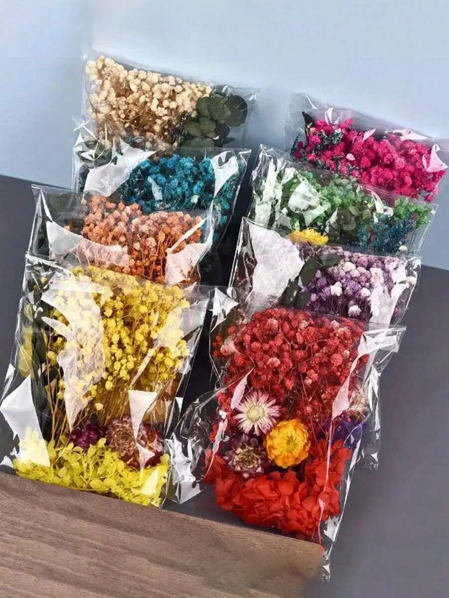 Kit de material mixto de flor preservada, cielo estrellado y flor seca, marco de foto manual DIY con instrucciones, abanico redondo relleno de flores frescas y secas, kit de material de flor preservada DIY, pegatina de marco de foto DIY