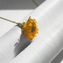 1 Roll White Wood Grain Peel And Stick Wallpaper, Waterproof Removable Textured Vinyl Wood Grain Wallpaper, Suitable For Tables, Countertops, Cabinets, Living Room, Bedroom, Bathroom, Wooden Doors, Houses, Home Decor, Furniture Renewal, Easy To Peel And Stick - White - View 11