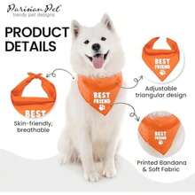 Pet Sweaters - Multicolor - View 4