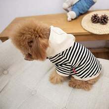 Pet Clothes Dog Black and White Striped Cotton Hoodie Sweater Two-egged Clothes Cotton Jacket Sweatshirt Coat for Puppy, Medium Dog, Cat(XS) - Multicolor - Ver 3