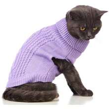 Pet Sweaters - Multicolor - View 3