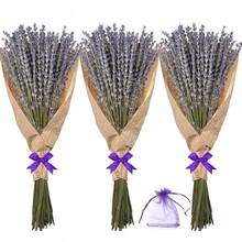 Dried Lavender Flowers Bundles, Natural Dry Lavender Flowers 220 - 240 Stems 16'' Vase Home Wedding Party Decoration Arrangements Fragrance 3 Bundles - 3.52盎司 - 查看 1