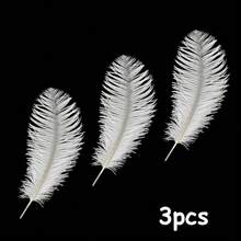 30/20/10支装白色大羽毛花茎，人造鸵鸟毛 - 婚礼、派对、宴会中心装饰 - DIY装饰（婚礼、舞会、活动） - 低维护优雅装饰（外观逼真，无仿制品） - 白色 - 查看 10