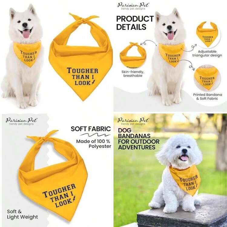 Parisian Pet Fashionable Dog Bandana – '' Printed Tie-On Neck Kerchief for Female Dogs and Cats – ize mall(L Tougher Than I Look) - Multicolor - Añade 1