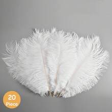30/20/10支装白色大羽毛花茎，人造鸵鸟毛 - 婚礼、派对、宴会中心装饰 - DIY装饰（婚礼、舞会、活动） - 低维护优雅装饰（外观逼真，无仿制品） - 白色 - 查看 9