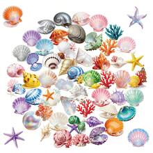 56 Stücke Muschel Dekor transparente Aufkleber, Ozean Aufkleber, farbige Ozean Dekor Natur Aufkleber, ästhetische Aufkleber, dekorative Aufkleber, Cartoon Aufkleber, wasserfeste Vinyl Aufkleber für Wasserflasche, Laptop, Handy, Skateboard, Fahrrad, Gepäck, Gitarre - F - Übersicht 1