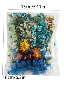 Kit de material mixto de flor preservada, cielo estrellado y flor seca, marco de foto manual DIY con instrucciones, abanico redondo relleno de flores frescas y secas, kit de material de flor preservada DIY, pegatina de marco de foto DIY - Multicolor - Ver 7
