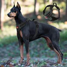 Tactical Dog Harness With Handle And Leash, Easy To Control And Train For Walking, Adjustable Reflective Strap - Multicolor - View 29