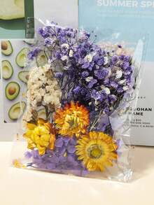 Kit de material mixto de flor preservada, cielo estrellado y flor seca, marco de foto manual DIY con instrucciones, abanico redondo relleno de flores frescas y secas, kit de material de flor preservada DIY, pegatina de marco de foto DIY - Multicolor - Ver 4