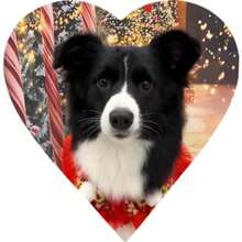 1/3个个性化照片加厚冰箱贴 - 定制照片硬磁铁 - 黑色磁性背衬 - 家居装饰礼品、情人节礼物、送她的礼物、送他的礼物、送妈妈的礼物、送朋友的礼物、家居装饰、装饰品、个性化礼物、定制礼物