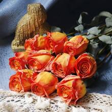 5 Stück (58 cm) elegante lebensechte Rosen, künstliche Rosen mit ausgefranstem Rand romantische Kunstblumen Tischdekoration für Hochzeit, Date, Jahrestag, Party, Wohnzimmer, Esszimmer, Heimdekoration - Verschiedenfarbig - Übersicht 7